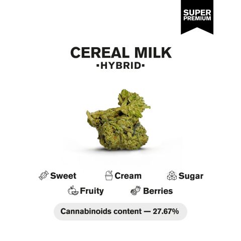 Cereal Milk Flower - THCA - Hybrid - Thumbnail 4