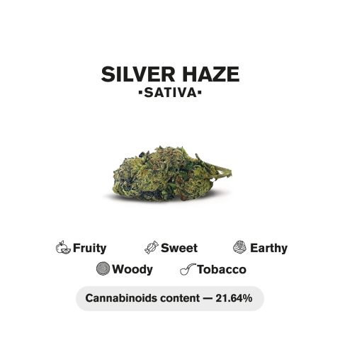 1.5g Silver Haze King Size Pre-Roll - Sativa - THCA - 1 Joint - Thumbnail 5