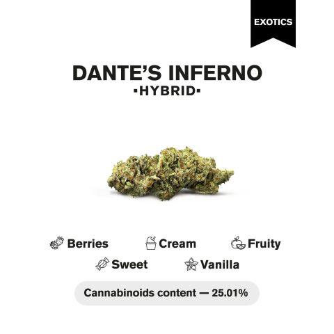 Dante's Inferno Flower - THCA - Hybrid - Thumbnail 4