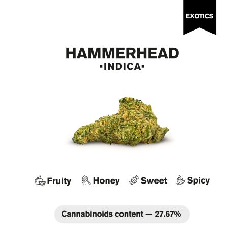 Hammerhead Flower - THCA - Indica - Thumbnail 4