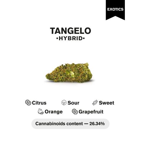 Tangelo Flower - THCA - Hybrid - Thumbnail 4