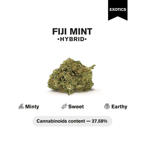 Fiji Mint Flower - THCA - Hybrid - Thumbnail 4