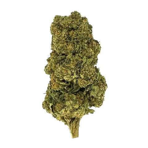 Black Cherry Gelato Flower - THCA - Indica - Thumbnail 1