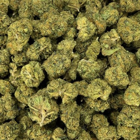 Black Cherry Gelato Flower - THCA - Indica - Thumbnail 3