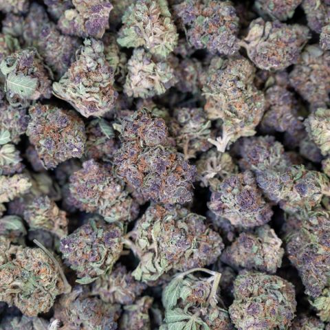 Pink Runtz Flower - THCA - Hybrid - Thumbnail 3