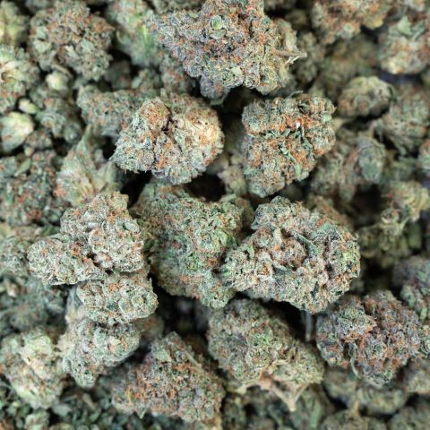 Italian Ice Flower - THCA - Hybrid - Thumbnail 3