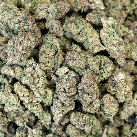 Walrus Kush Flower - THCA - Hybrid - Thumbnail 3