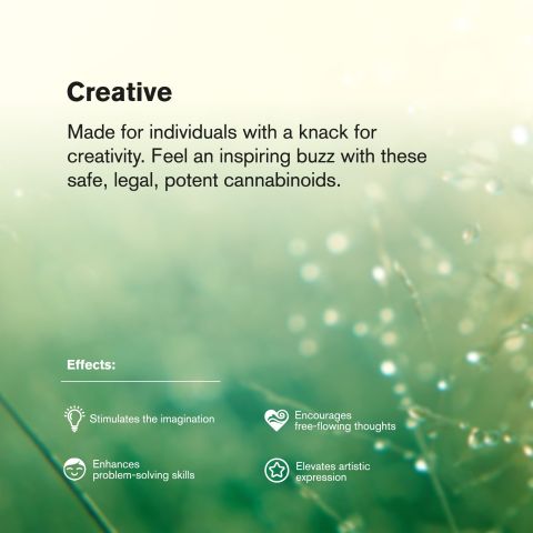 Lemon Bean Flower - THCA - Sativa - Thumbnail 6