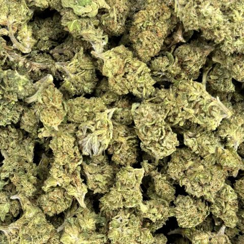 Red Congolese Flower - THCA - Sativa - Thumbnail 2