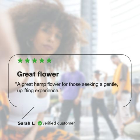 1.5g Area 41 King Size Pre-Roll - Hybrid - THCA - 1 Joint - Thumbnail 9