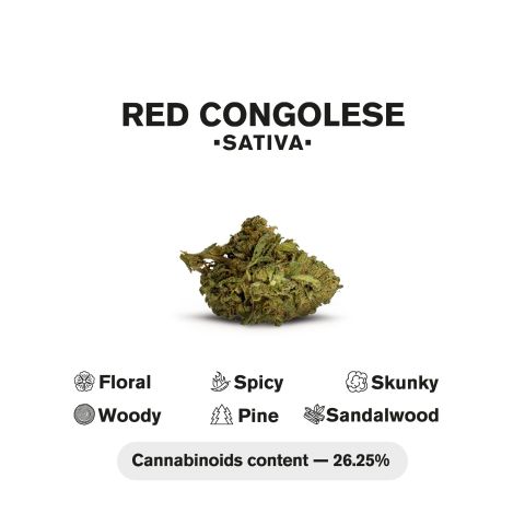 1.5g Red Congolese King Size Pre-Roll - Sativa - THCA - 1 Joint - Thumbnail 5