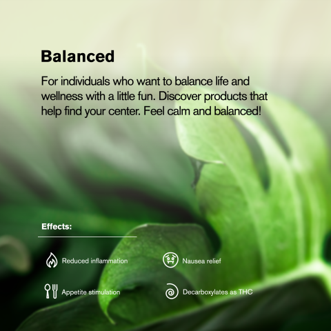 1.5g G King Size Pre-Roll - Sativa - THCA - 5 Joints - Thumbnail 9