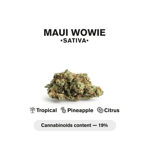 1.5g Maui Wowie King Size Pre-Roll - Sativa - THCA - 1 Joint - Thumbnail 5