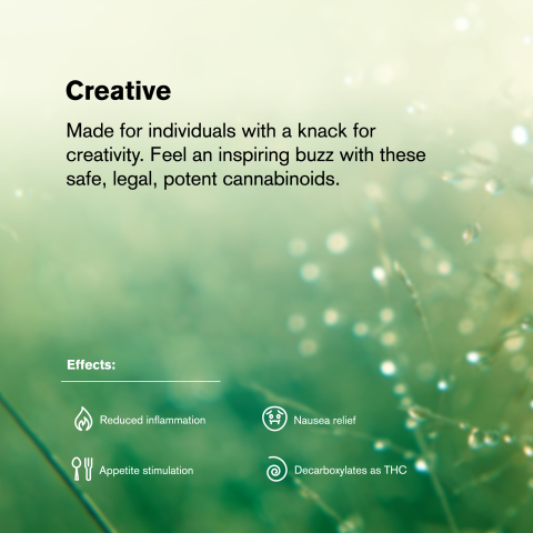 0.5g Pancakes Mini Pre-Roll - Hybrid - THCA - 5 Joints - Thumbnail 9