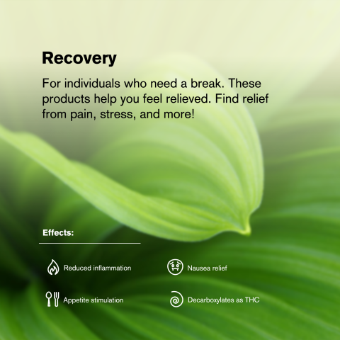 1.5g Hindu Kush King Size Pre-Roll - Indica - THCA - 1 Joint - Thumbnail 8