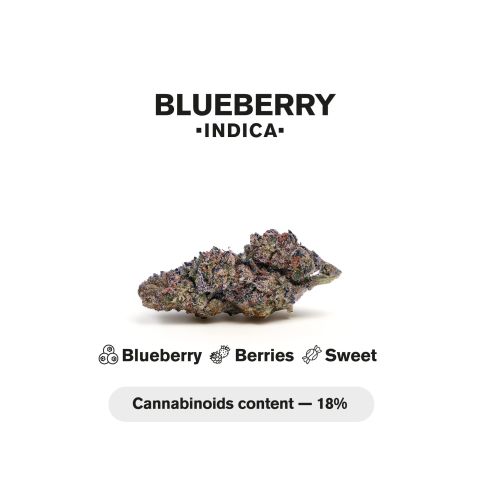 1.5g Blueberry King Size Pre-Roll - Indica - THCA - 5 Joints - Thumbnail 5