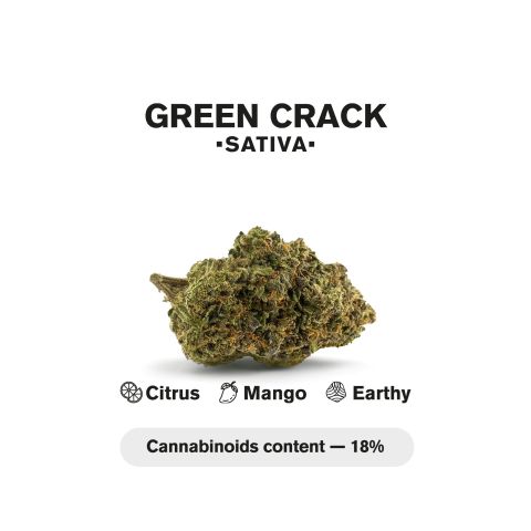 1.5g Green Crack King Size Pre-Roll - Sativa - THCA - 1 Joint - Thumbnail 5
