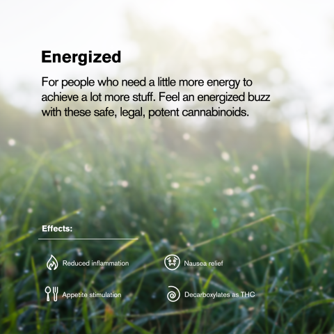 1.5g Green Crack King Size Pre-Roll - Sativa - THCA - 1 Joint - Thumbnail 8