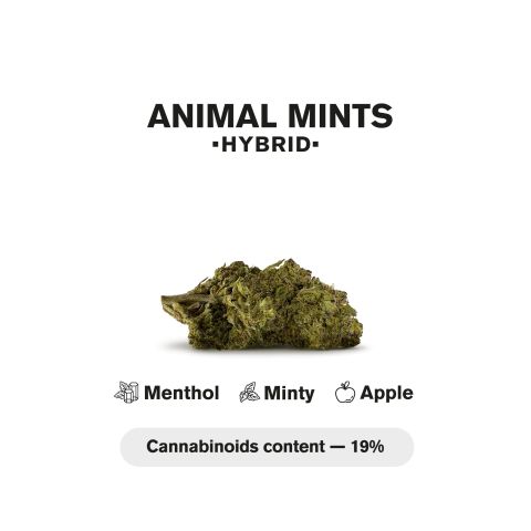 1.5g Animal Mints King Size Pre-Roll - Hybrid - THCA - 5 Joints - Thumbnail 5