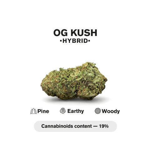 1.5g OG Kush King Size Pre-Roll - Hybrid - THCA - 5 Joints - Thumbnail 5