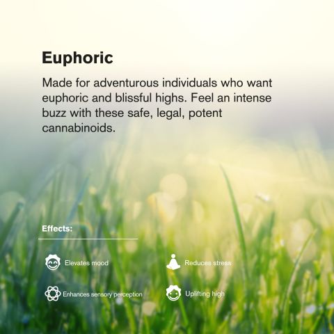 1.5g Fire OG King Size Pre-Roll - Hybrid - THCA - 5 Joints - Thumbnail 9