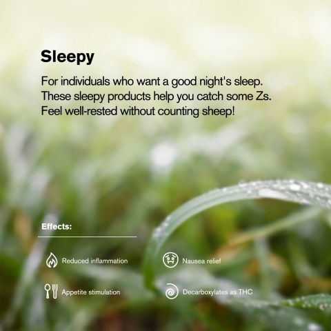 1.5g GrandDaddy Purp King Size Pre-Roll - Indica - THCA - 5 Joints - Thumbnail 9