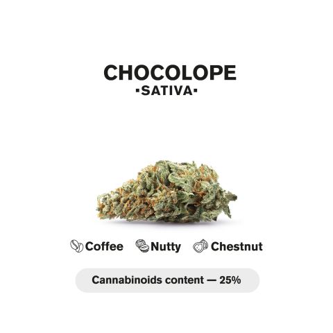 1.5g Chocolope King Size Pre-Roll - Sativa - THCA - 1 Joint - Thumbnail 5