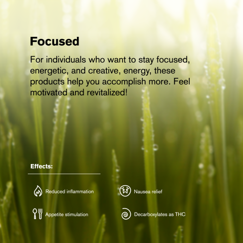 1.5g Chocolope King Size Pre-Roll - Sativa - THCA - 1 Joint - Thumbnail 8