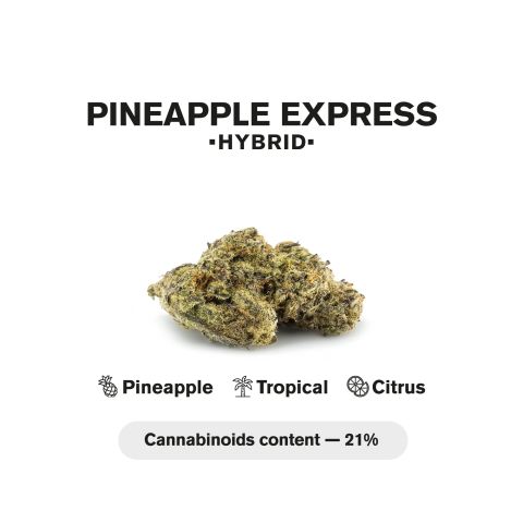 0.5g Pineapple Express Mini Pre-Roll - Hybrid - THCA - 5 Joints - Thumbnail 5