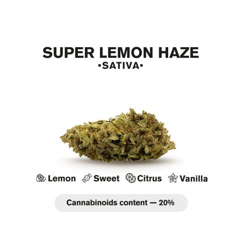 1.5g Super Lemon Haze King Size Pre-Roll - Sativa - THCA - 5 Joints - Thumbnail 5