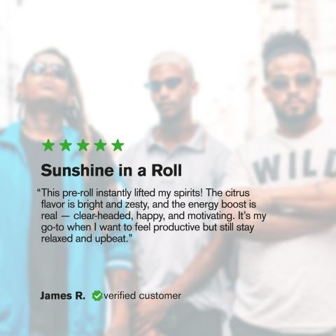 1.5g Super Lemon Haze King Size Pre-Roll - Sativa - THCA - 5 Joints - Thumbnail 10