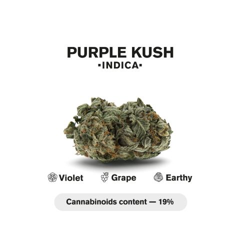 1.5g Purple Kush King Size Pre-Roll - Indica - THCA - 5 Joints - Thumbnail 5