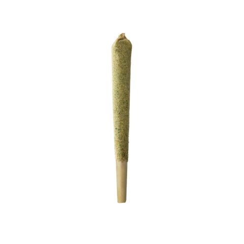 1.5g Kief Pre-Roll - Hybrid Blend - THCA - Thumbnail 1