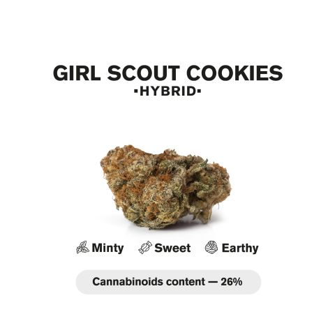 0.5g Girl Scout Cookies Mini Pre-Roll - Indica - THCA - 5 Joints - Thumbnail 5