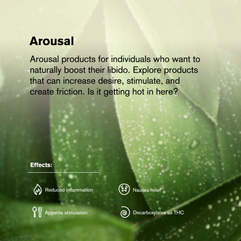 0.5g Forbidden Fruit Mini Pre-Roll - Indica - THCA - 5 Joints - Thumbnail 9