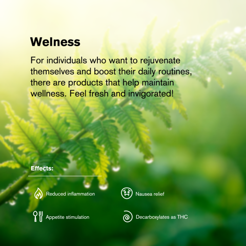 1.5g Blueberry King Size Pre-Roll - Indica - THCA - 1 Joint - Thumbnail 8