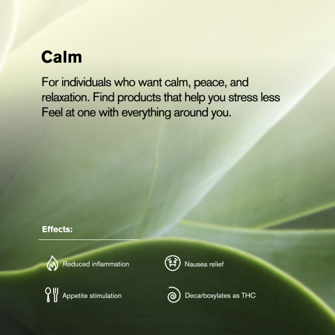 0.5g Mendo Breath Mini Pre-Roll - Indica - THCA - 5 Joints - Thumbnail 9