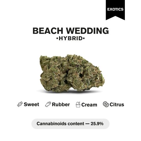 Beach Wedding Flower - THCA - Hybrid - Thumbnail 5