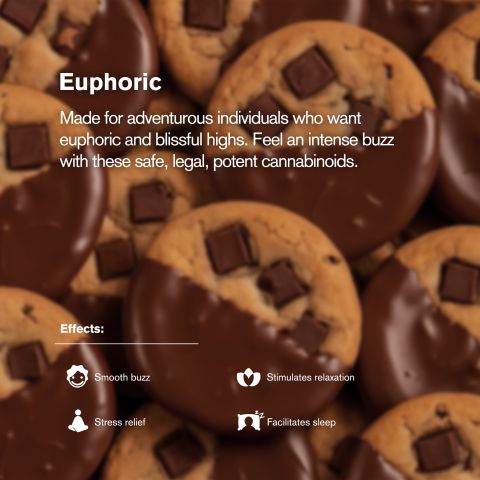 100mg Delta 8 - Chocolate Chunk Cookie - Thumbnail 5