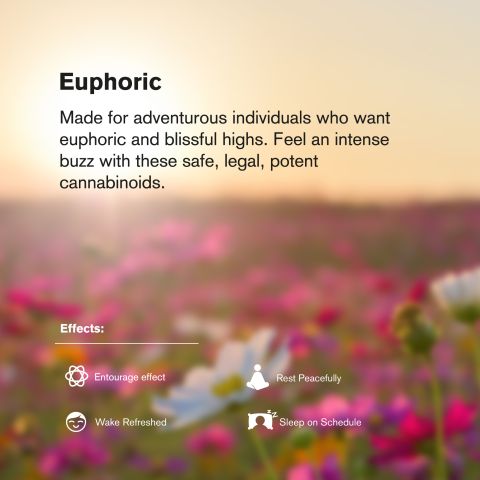 50mg D8 & THCP Gummies - Paradise Mix - Thumbnail 8