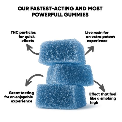 6mg THCP Gummies - Blueberry - Thumbnail 6