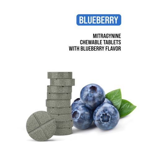100mg Tablets - Blueberry - Chill Plus - Thumbnail 5