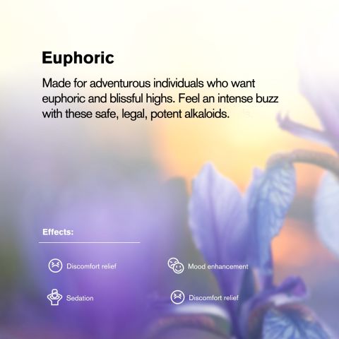 100mg Tablets - Blueberry - Chill Plus - Thumbnail 7