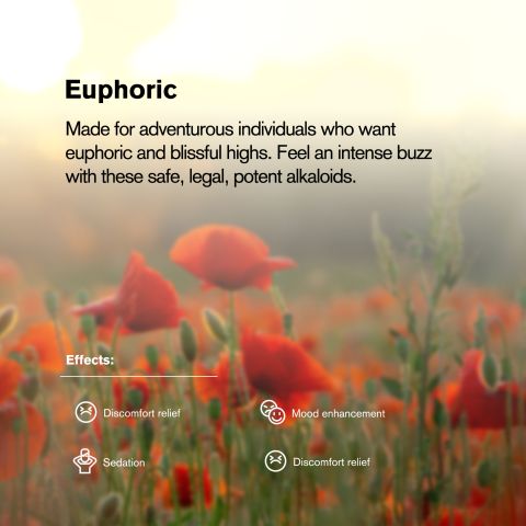 200mg Tablets - Mango - Chill Plus - Thumbnail 7