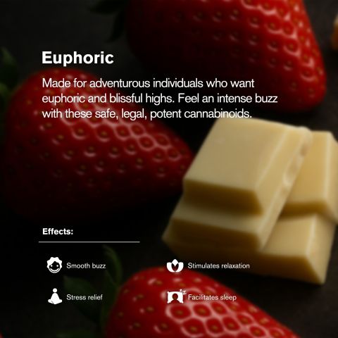 Chill Plus - Delta 9 Waffle Cones - Strawberry White Chocolate - 240MG - Thumbnail 5