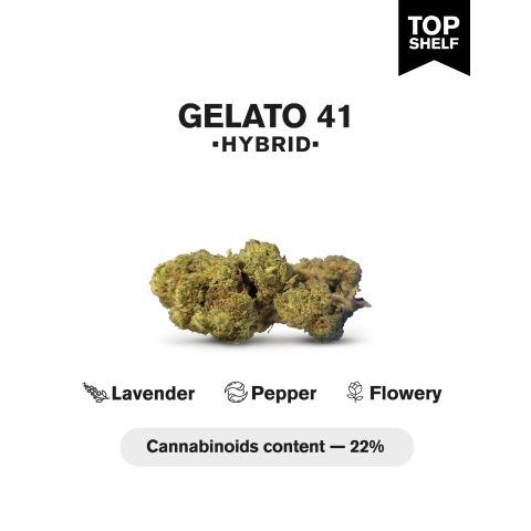 Gelato 41 Flower - THCA - Hybrid - Thumbnail 3