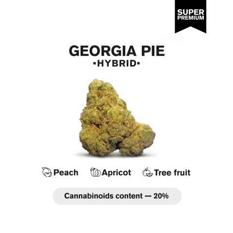 Georgia Pie Flower - THCA - Hybrid - Thumbnail 3