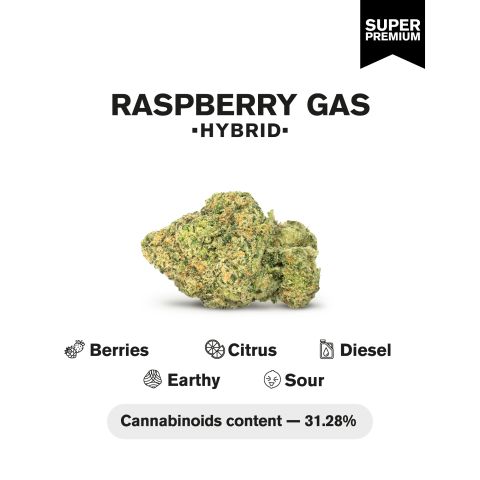 Raspberry Gas Flower - THCA - Hybrid - Thumbnail 3