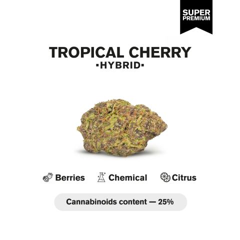 Tropical Cherry Flower - THCA - Hybrid - Thumbnail 3