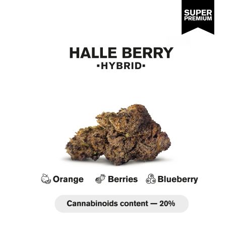 Halle Berry Flower - THCA - Hybrid - Thumbnail 3
